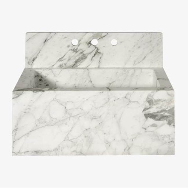 Waterworks Tellaro Rectangular Wall Mounted Marble Lavatory Sink 28'' x 17'' x 11'' with 28'' x 7'' x 3/4'' Backsplash in Bardiglio with Logo in Special Order Finish